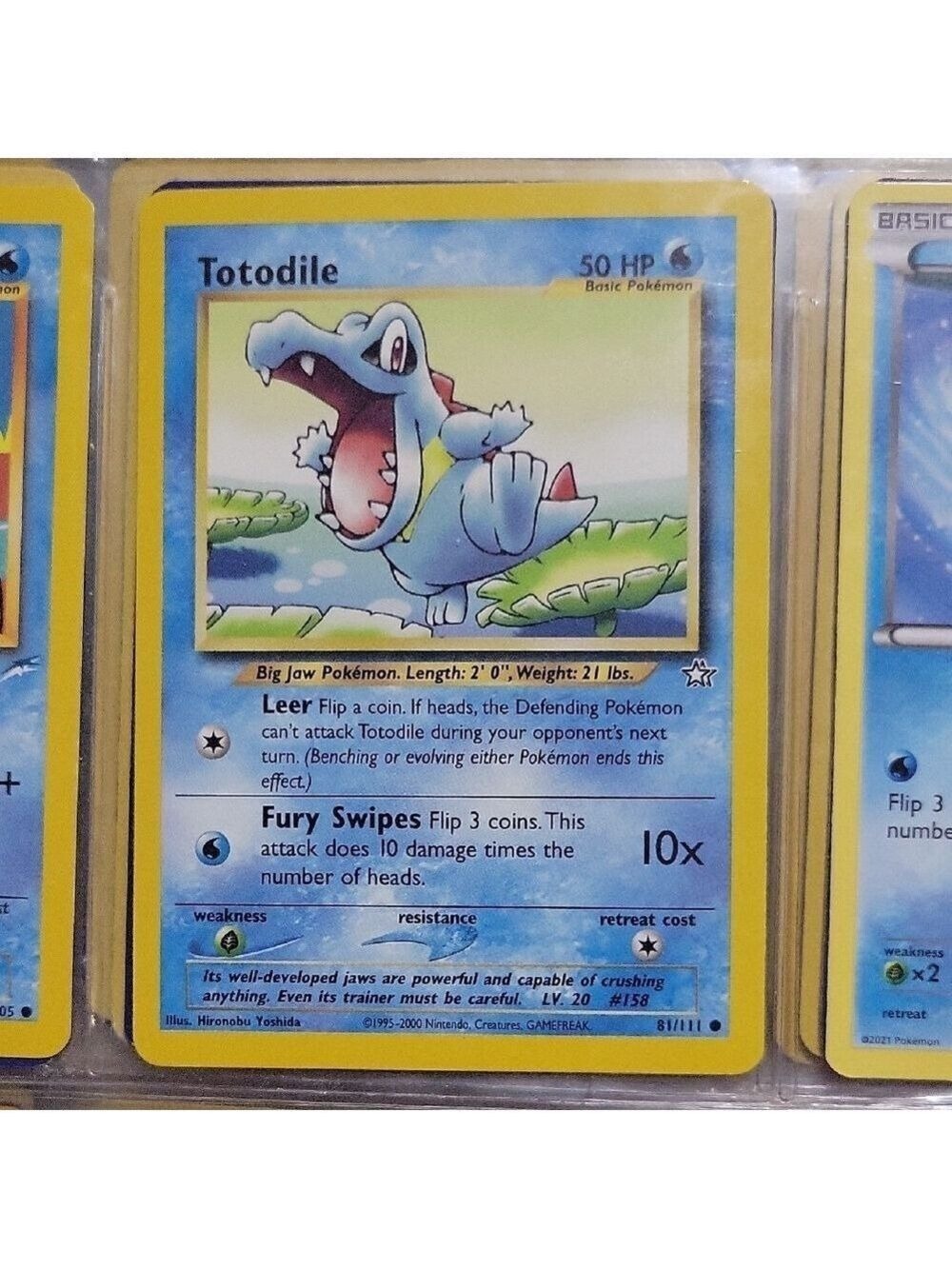 Pokemon Totodile Card